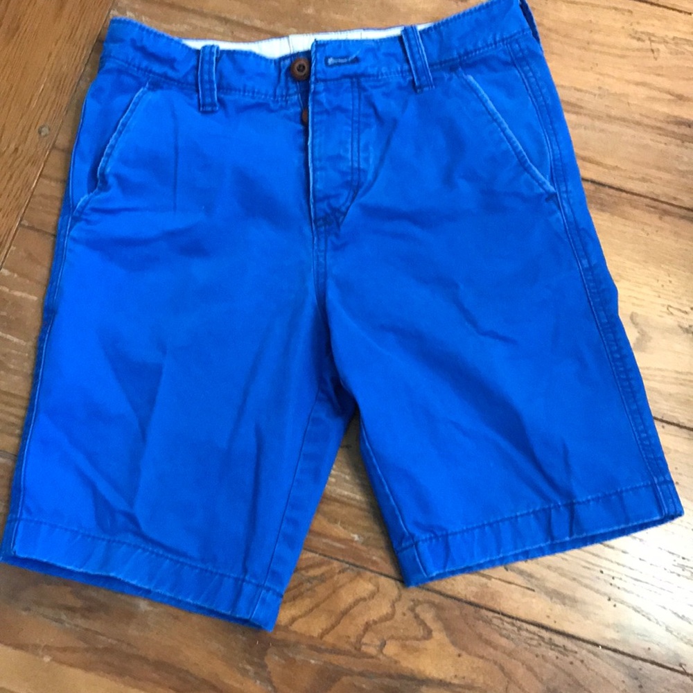 Hollister men’s blue shorts size 28